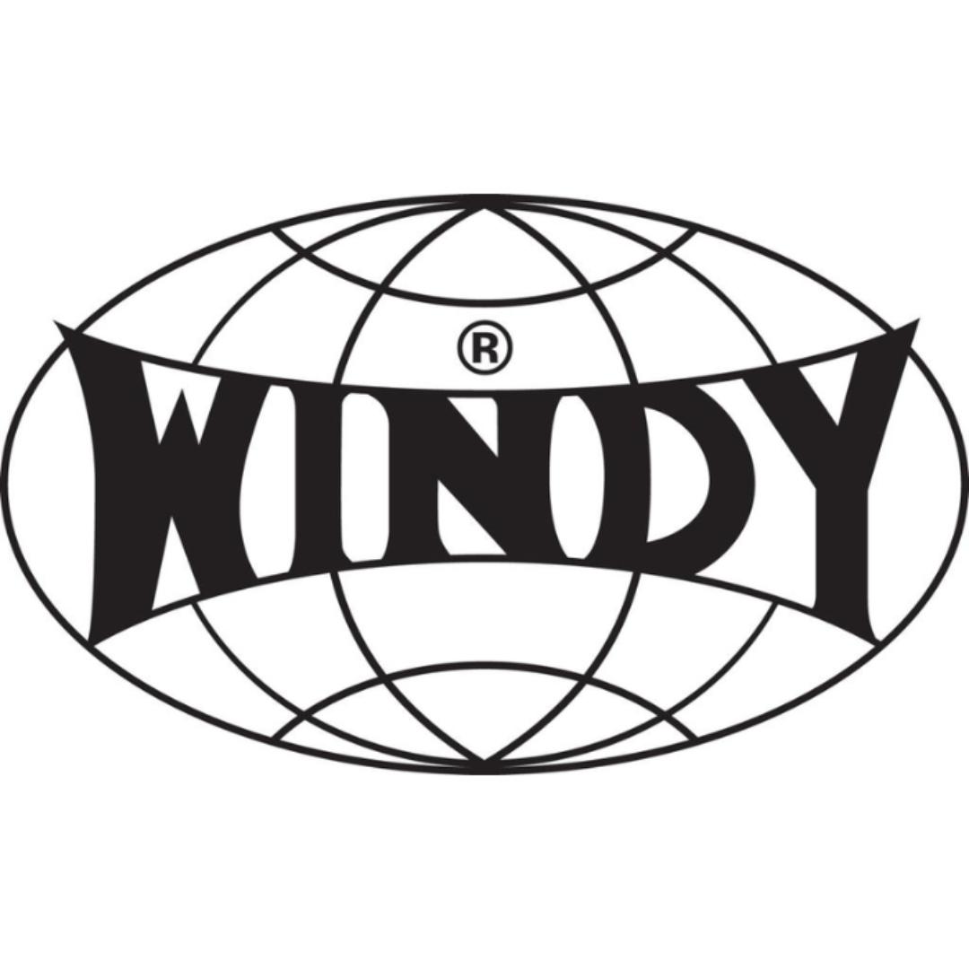כפפות איגרוף מעור Windy Classics
