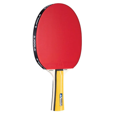 מחבט פינג פונג Joola Table Tennis racket Master