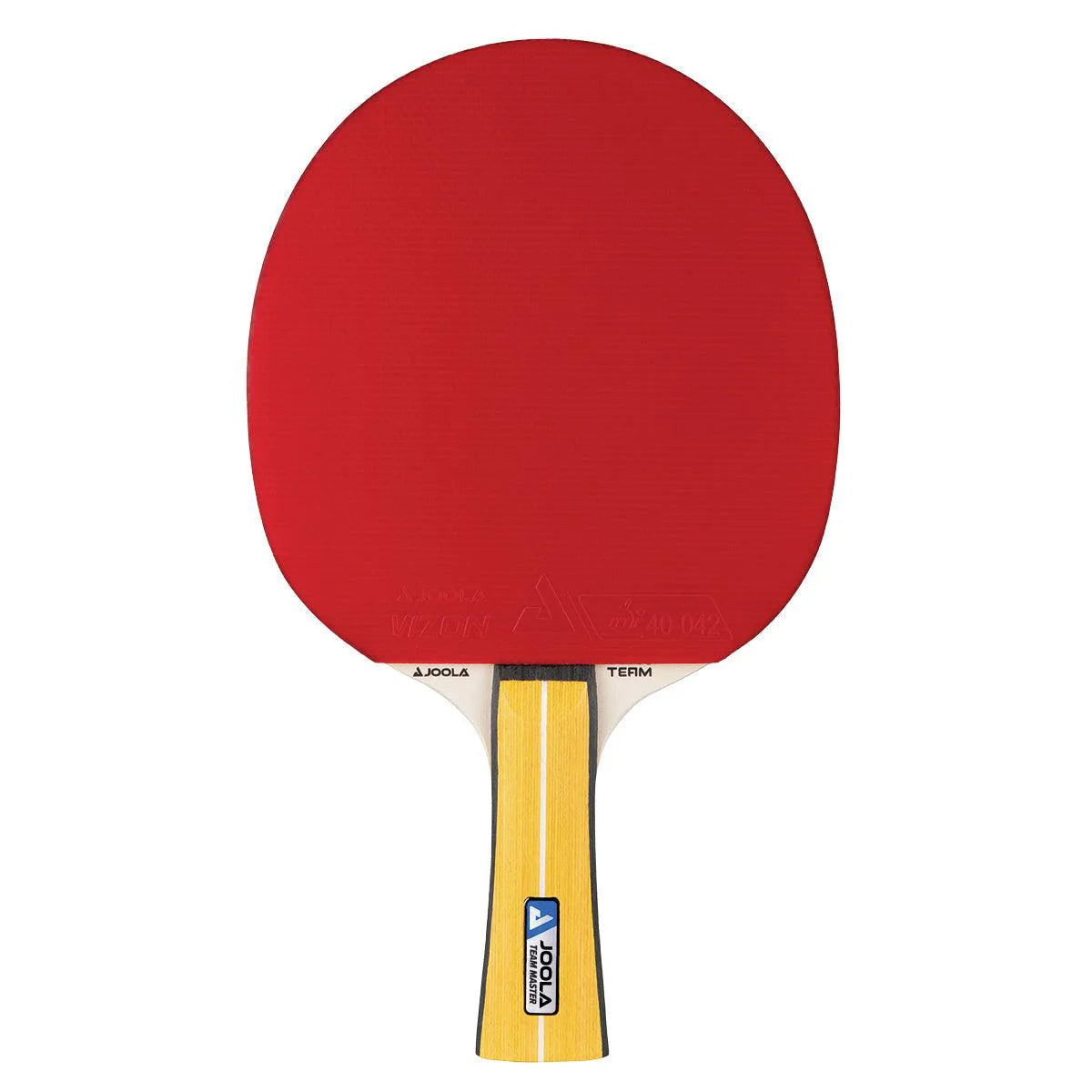 מחבט פינג פונג Joola Table Tennis racket Master