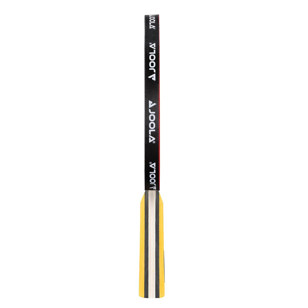 מחבט פינג פונג Joola Table Tennis racket Master