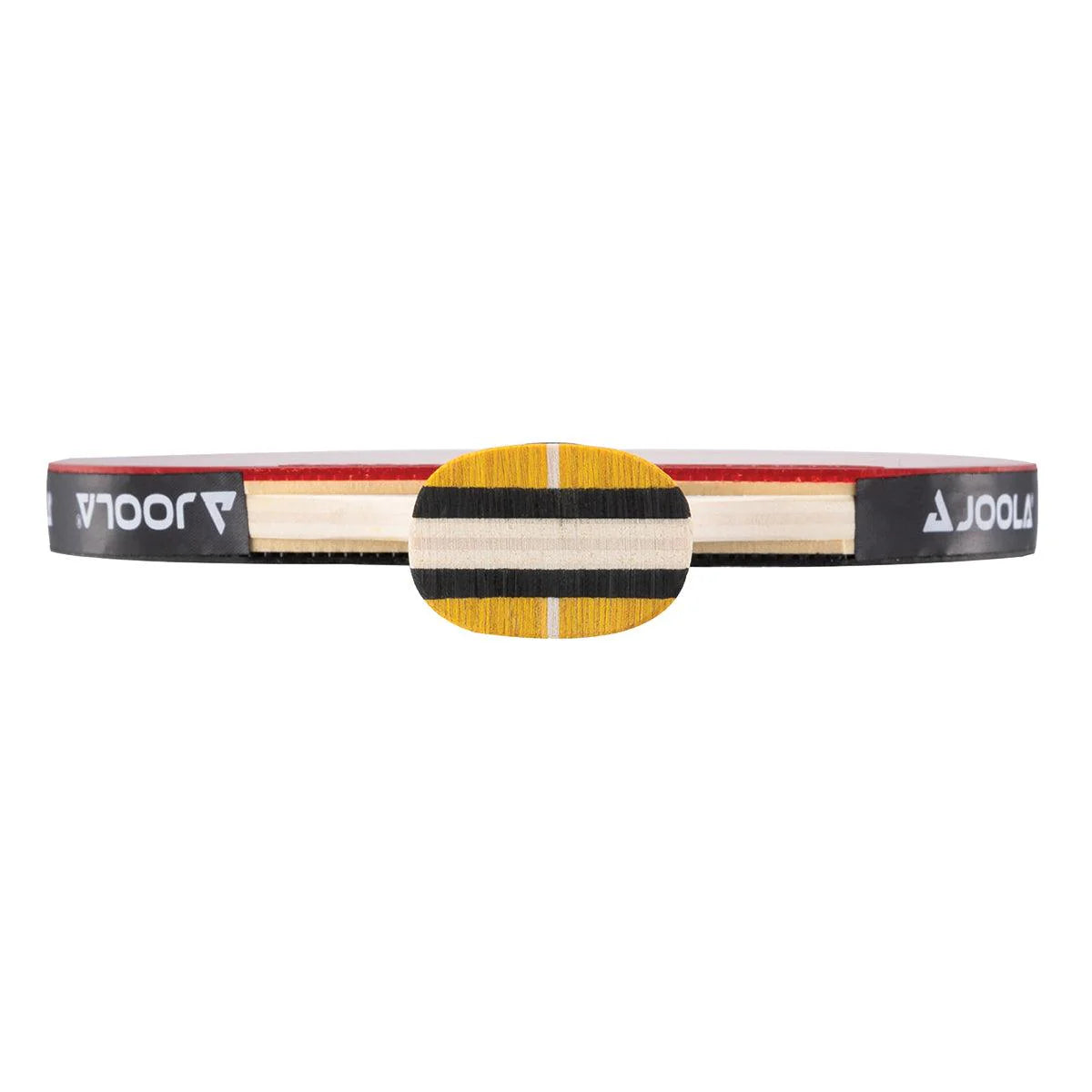 מחבט פינג פונג Joola Table Tennis racket Master