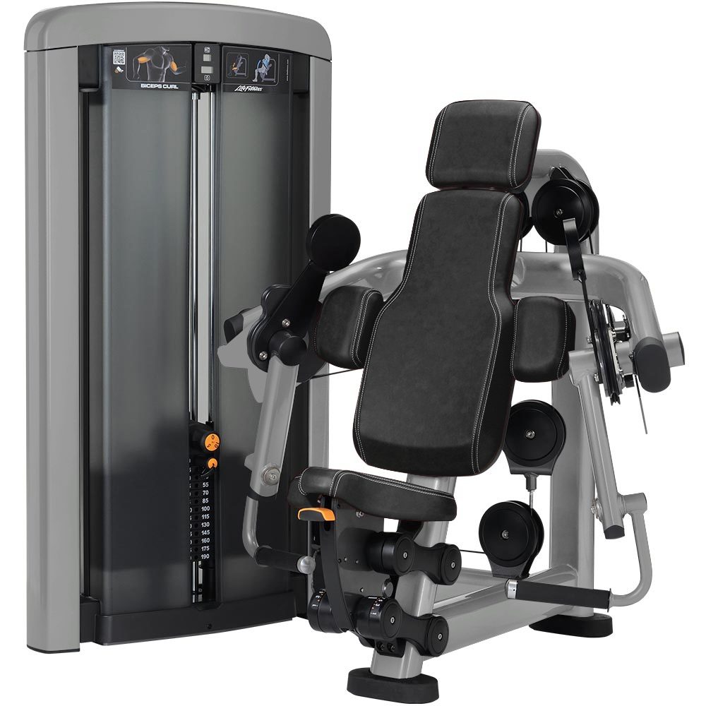 Insignia Series Biceps Curl