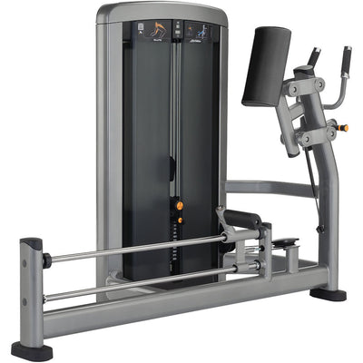 Insignia Series Glute